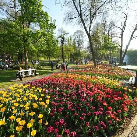 Citycenter * Craiova