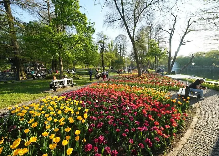 Citycenter * Craiova